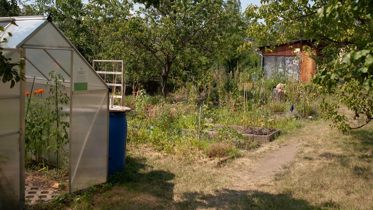 Jak šetřit vodu? Komunitní zahrada Kotlaska našla způsob